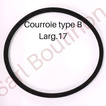B17X1015LI